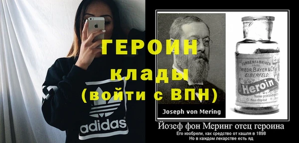 индика Богородицк