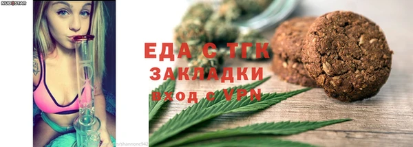 индика Богородицк