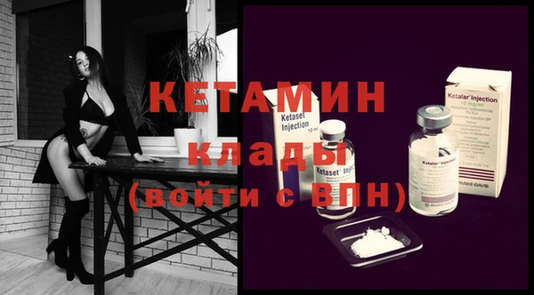 индика Богородицк