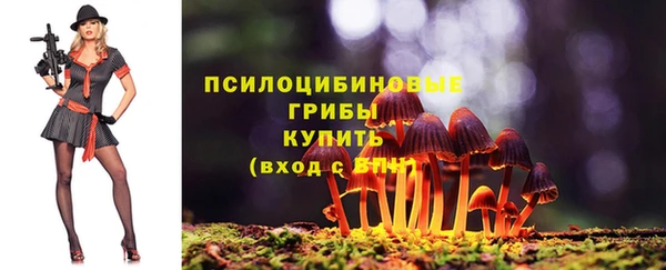 индика Богородицк
