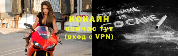 индика Богородицк
