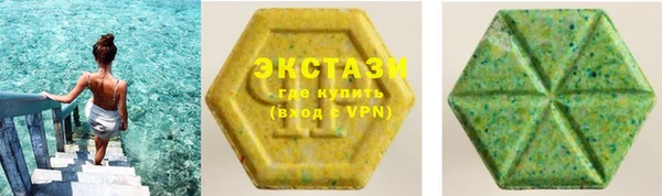 индика Богородицк