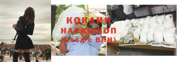 индика Богородицк