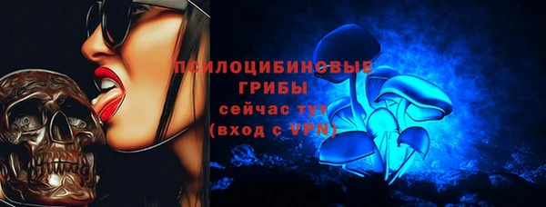 спиды Богородск