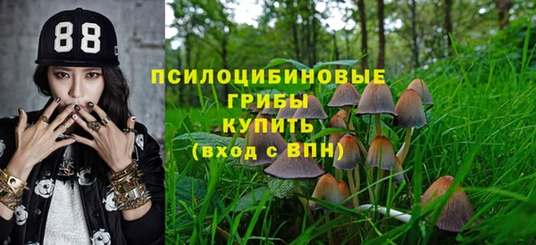 спиды Богородск