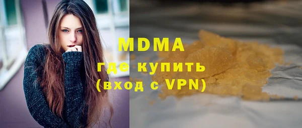 индика Богородицк