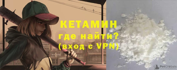 индика Богородицк