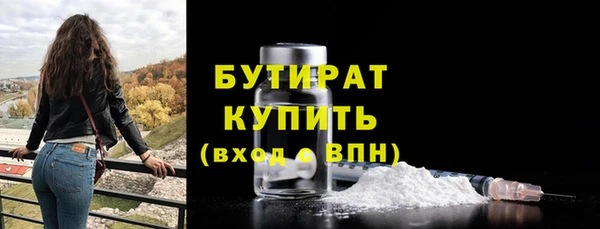 индика Богородицк