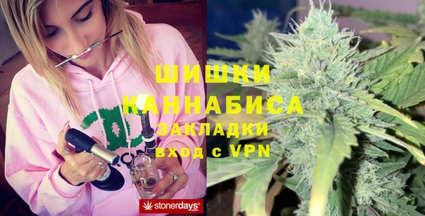 спиды Богородск