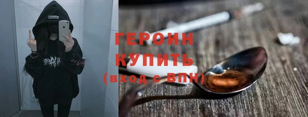 индика Богородицк