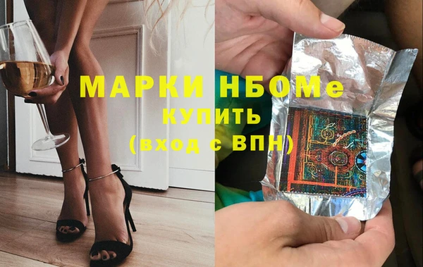 индика Богородицк