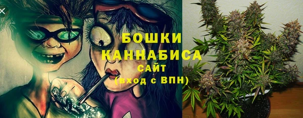 ECSTASY Богданович
