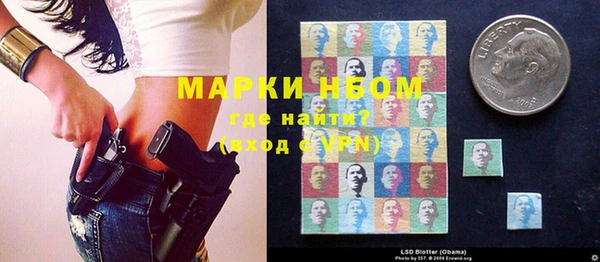 индика Богородицк