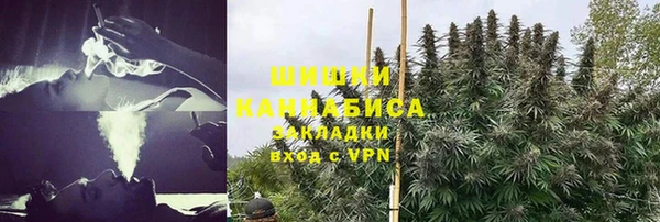 спиды Богородск