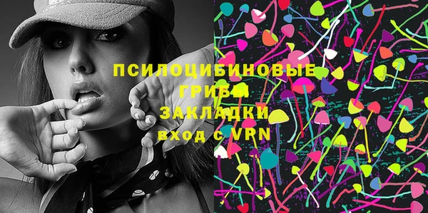 индика Богородицк