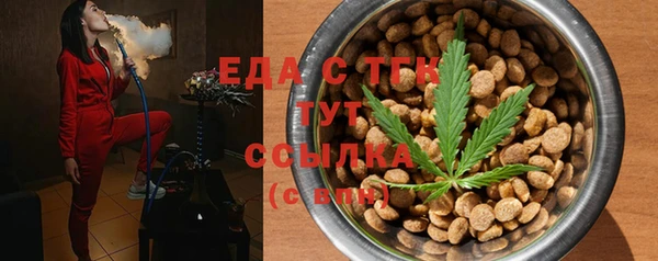 индика Богородицк