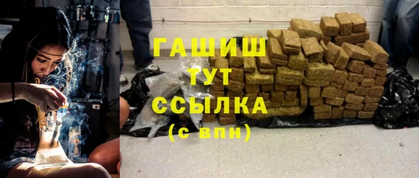 индика Богородицк