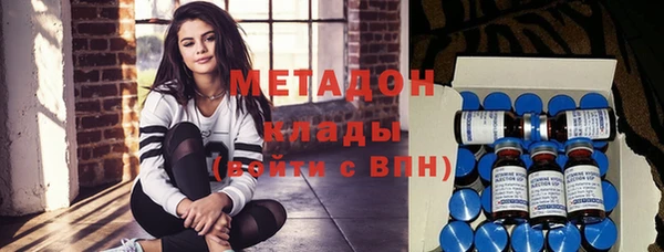 индика Богородицк