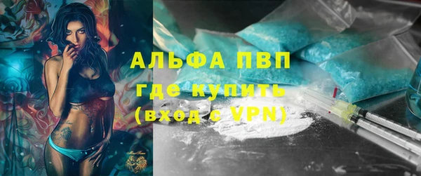 ECSTASY Богданович