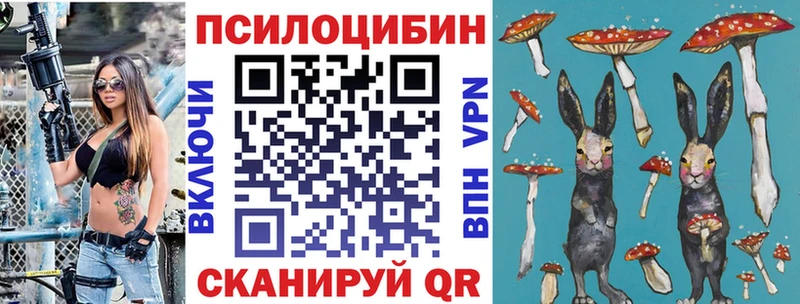 KRAKEN ТОР  Борисоглебск  Псилоцибиновые грибы MAGIC MUSHROOMS  где купить наркотик 