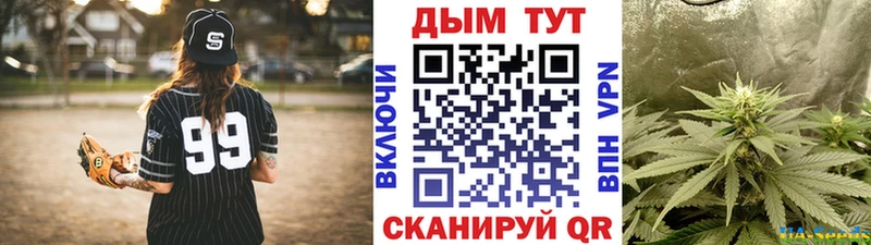 Каннабис SATIVA & INDICA  дарнет шоп  hydra как войти  Борисоглебск 